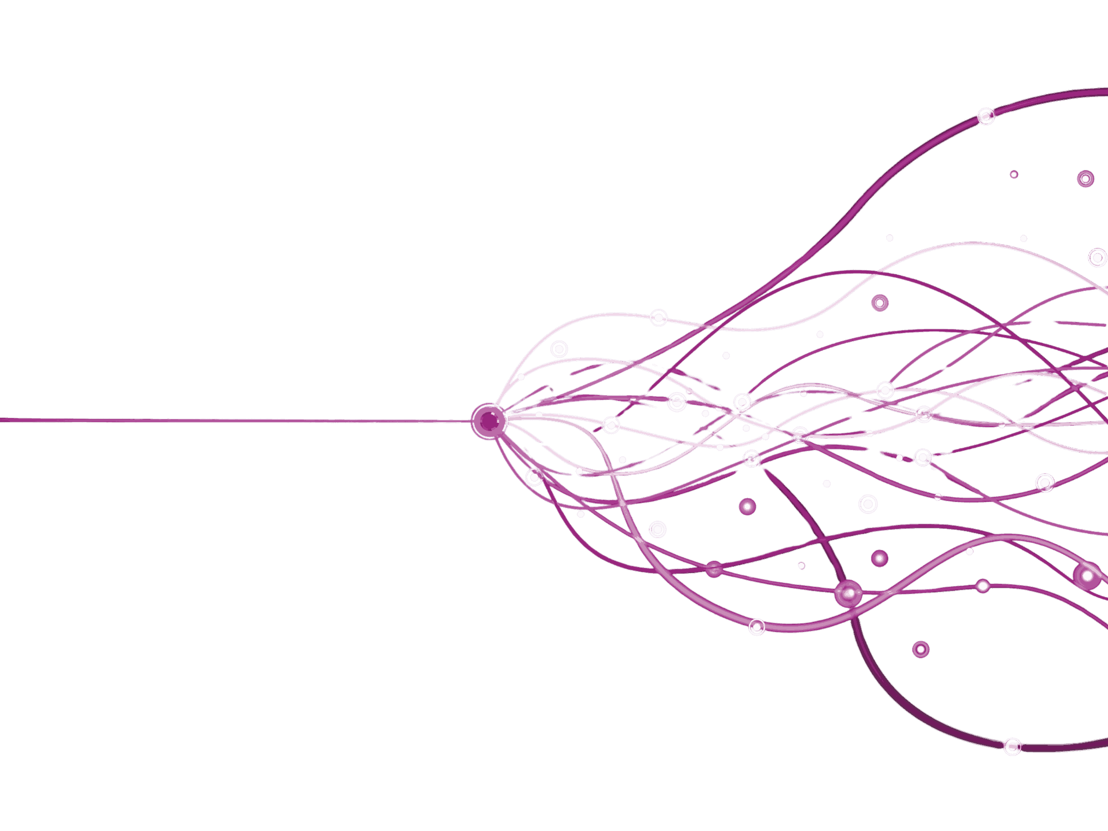 maged abdulaziz performance